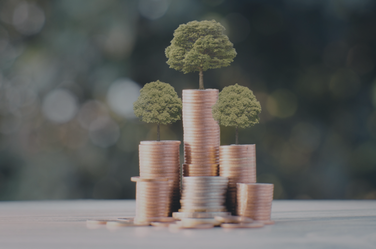 Explore wealth management careers in Singapore, key roles, required skills, and opportunities for mid-career professionals in advisory and leadership.